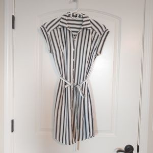 Express Striped Button-Up Collared Dress
